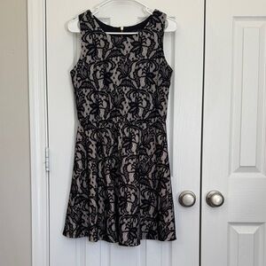 Heart Soul Elegant Black and Cream Mini Dress